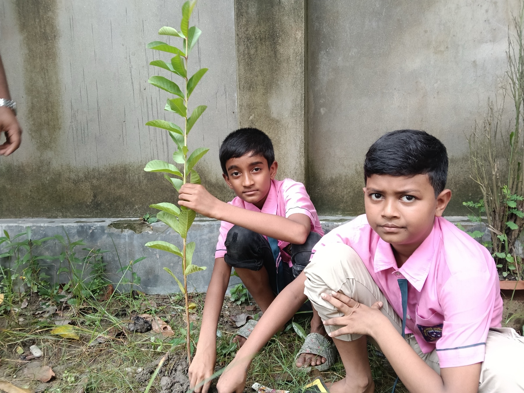 Agriculture and Biodiversity